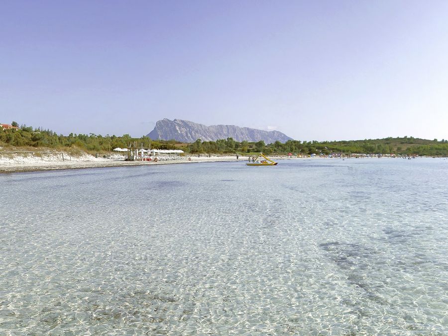 Cala Brandinchi, sabbia bianca e pineta