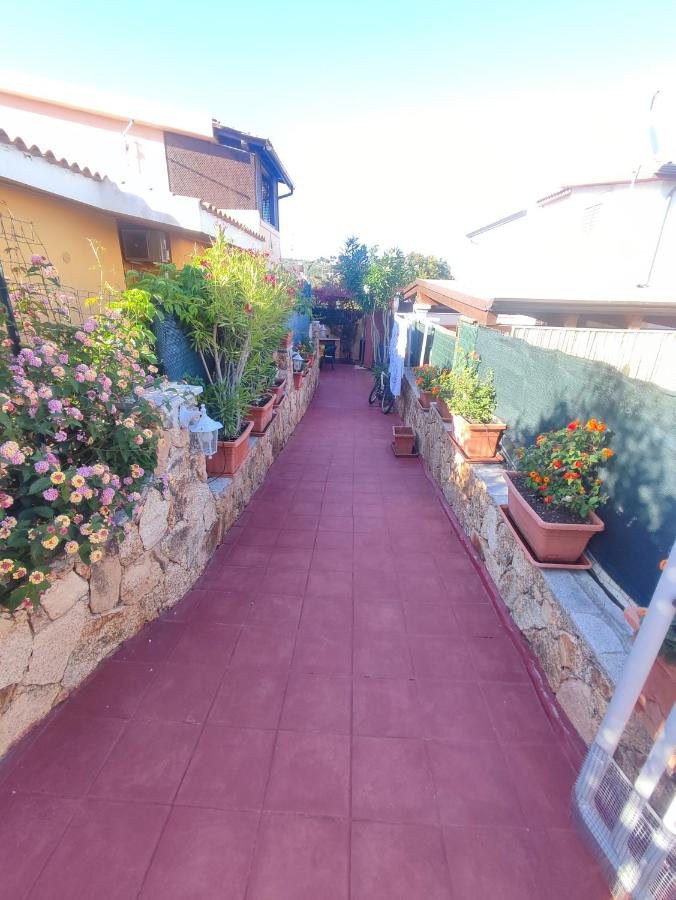 Ingresso della casa con piante e vialetto